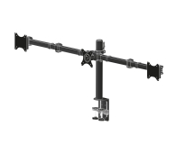 IIYAMA Potrójne ramię montażowe do monitorów DS1003C-B1 - 460870 - zdjęcie 1
